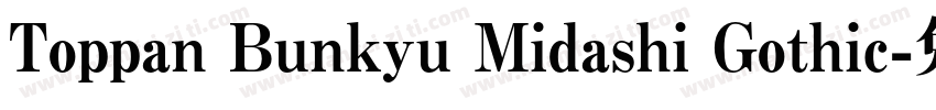 Toppan Bunkyu Midashi Gothic字体转换